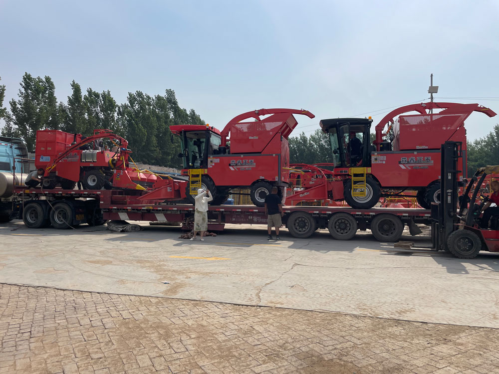 Senrui Silage Harvesters Loaded in Batches | Quality Ensures Stable Autumn Harvest