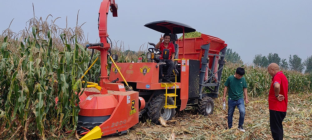 Máy thu hoạch thức ăn gia súc xanh loại 4QZ-2000 thu hoạch ngô ở huyện Dadan của tỉnh Hà Bắc Máy thu hoạch thức ăn gia súc xanh loại 4QZ-2000 thu hoạch ngô ở huyện Dadan của tỉnh Hà Bắc
