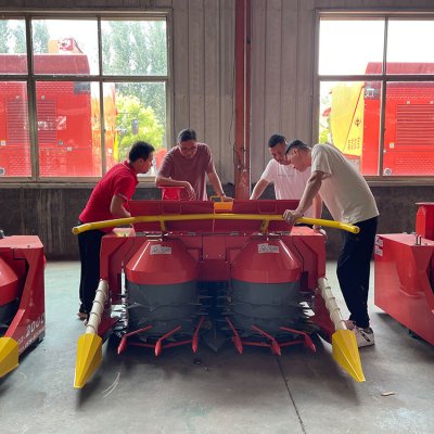 Los clientes de Taiwán son bienvenidos a visitar nuestra fábrica