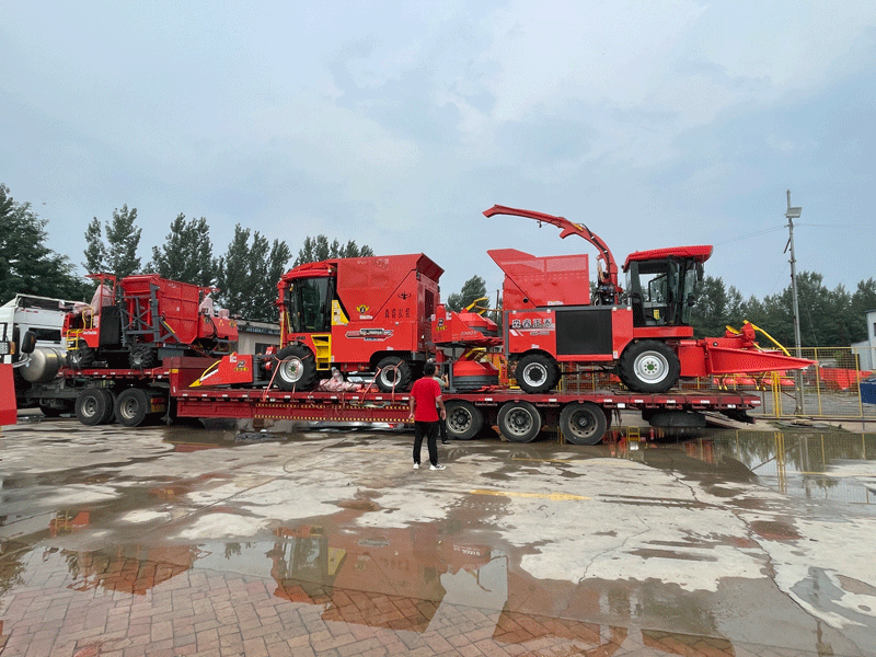 ¡Entregadas durante la temporada alta, las máquinas de ensilaje ayudan a la mecanización agrícola! ¡Entregadas durante la temporada alta, las máquinas de ensilaje ayudan a la mecanización agrícola!