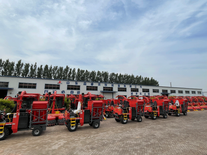 Temporada alta para fabricantes de máquinas de ensilaje: ¡Concéntrese en los detalles y brinde servicio posventa! Temporada alta para fabricantes de máquinas de ensilaje: ¡Concéntrese en los detalles y brinde servicio posventa!