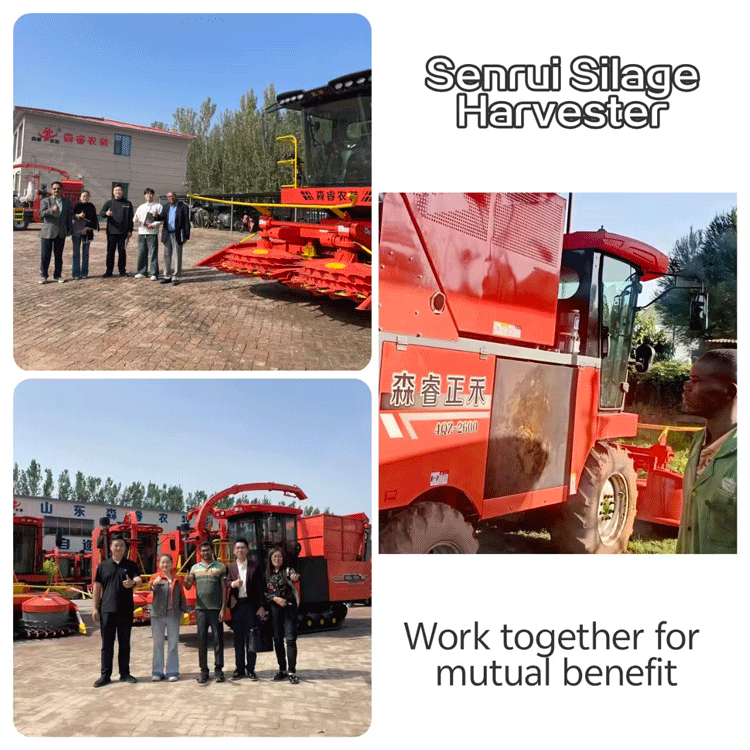 Agricultural Machinery Grass Silage Baling Packaging Machine Mini Hay Straw Round Baler Agricultural Machinery Grass Silage Baling Packaging Machine Mini Hay Straw Round Baler