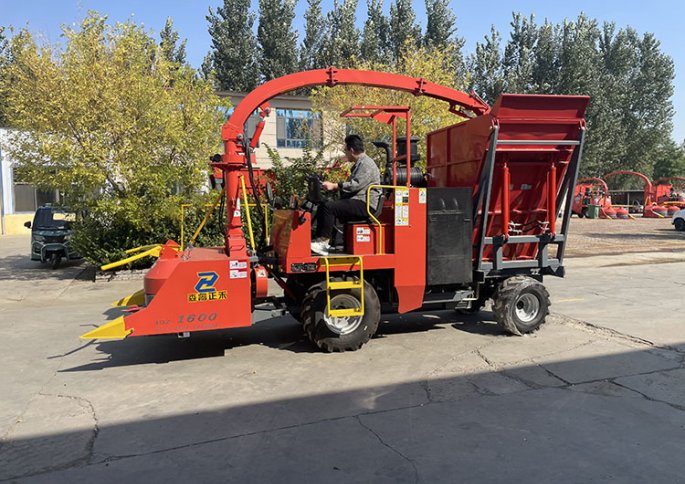 Welcome Hainan Customers To Visit Our Company