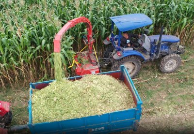 Corn Silage Chopper