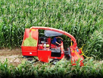 Máy thu hoạch thức ăn thô xanh tự hành 1.480m