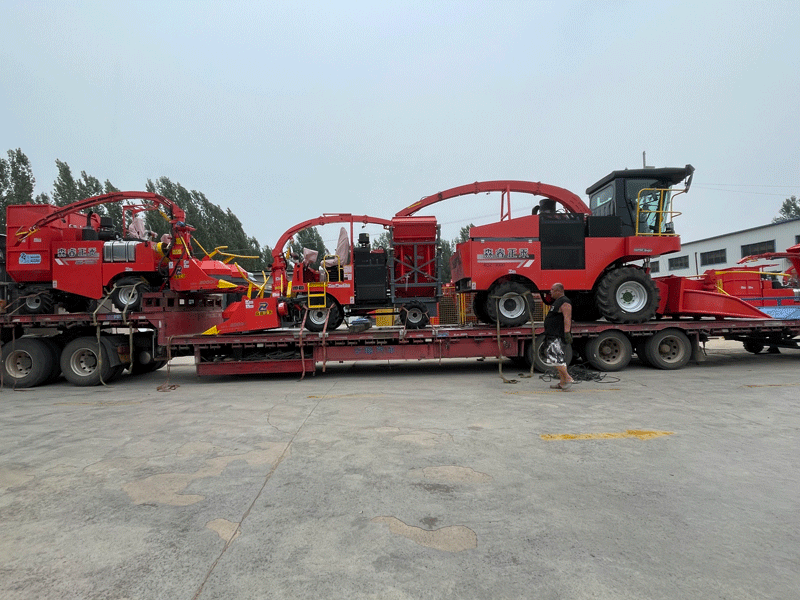 Entrega de máquinas de ensilaje: ¡ayuda con la cosecha y avanza de manera eficiente! Entrega de máquinas de ensilaje: ¡ayuda con la cosecha y avanza de manera eficiente!