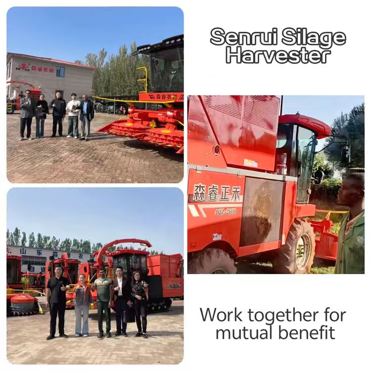 Factory Direct 4QZ-2600 Fully Automatic Forage Silage Harvester with CE Certification