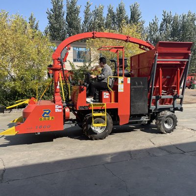 Invitamos a los clientes de Hainan a visitar nuestra empresa