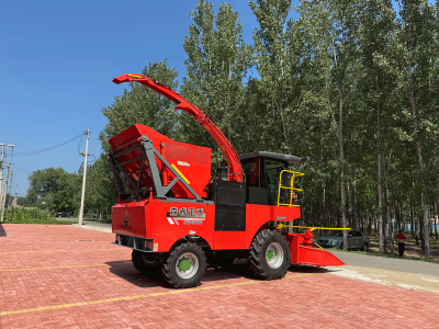 6 Row Corn Stalk Forage Harvester Factory Direct Sales