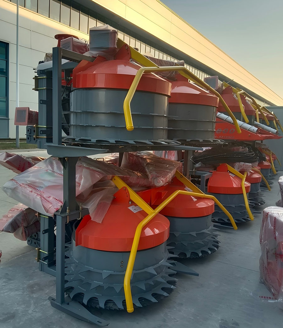 वसंत महोत्सव कर्मचारी लाभ वसंत महोत्सव कर्मचारी लाभ