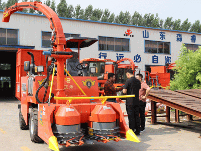 Chào mừng bạn bè nước ngoài đến thăm chúng tôi!