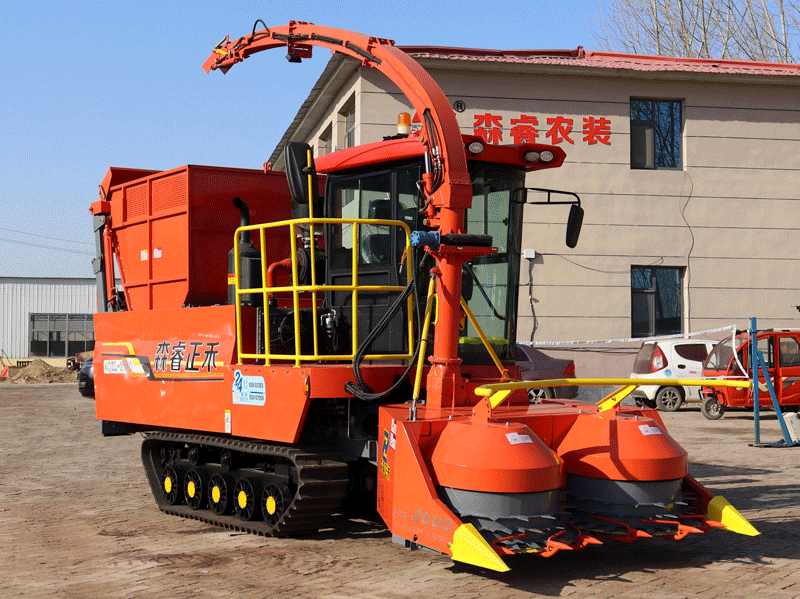 بین الاقوامی دوستوں نے دورہ کیا اور تعاون کے نئے مواقع تلاش کیے! بین الاقوامی دوستوں نے دورہ کیا اور تعاون کے نئے مواقع تلاش کیے!