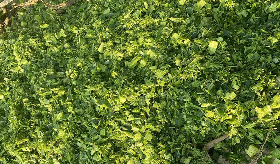 2.220m Corn Silage Chopper 2.220m Corn Silage Chopper